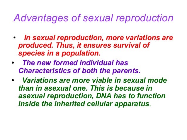 Why is sexual reproduction important pic 78